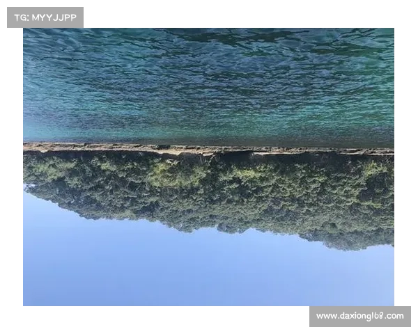 新西兰游泳—2017新西兰漂流赛事激情澎湃勇者征途征服极限河流荣耀之争